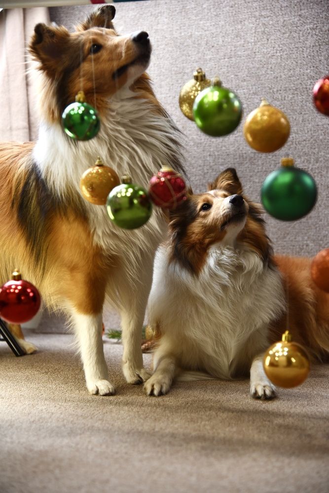 Photograph by Наталья Сельцова