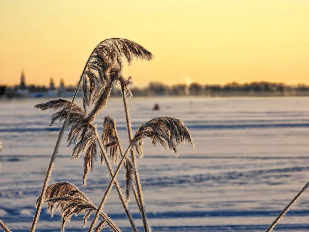 Photograph by Александр Шаварин