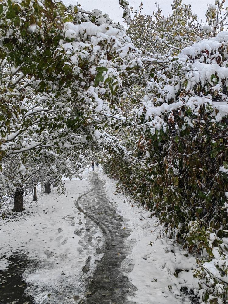Фотография автора Алёна С-К