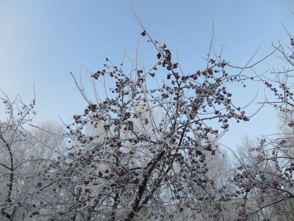 Photograph by Николай Горбачёв