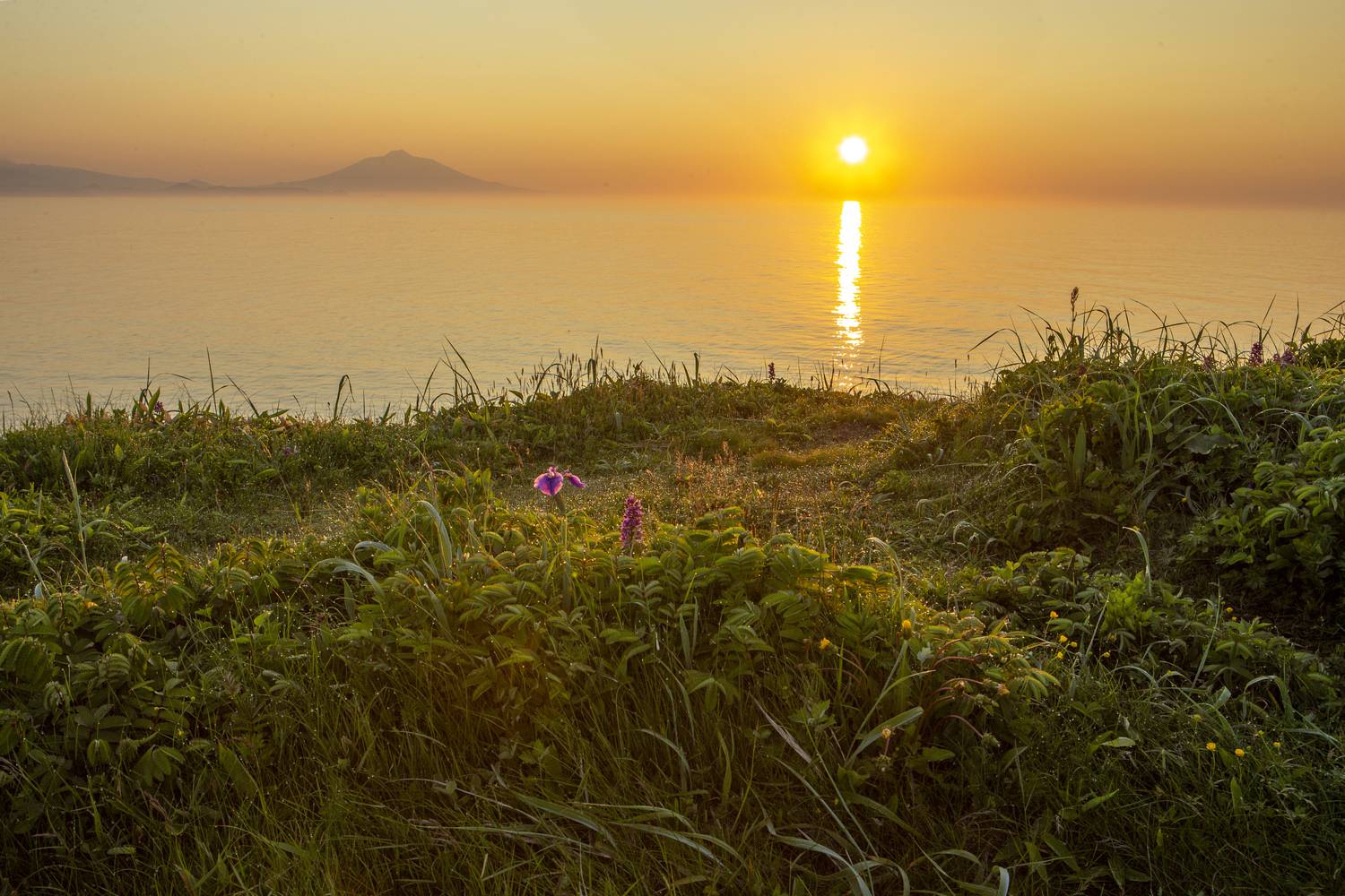 Фотография #13020294