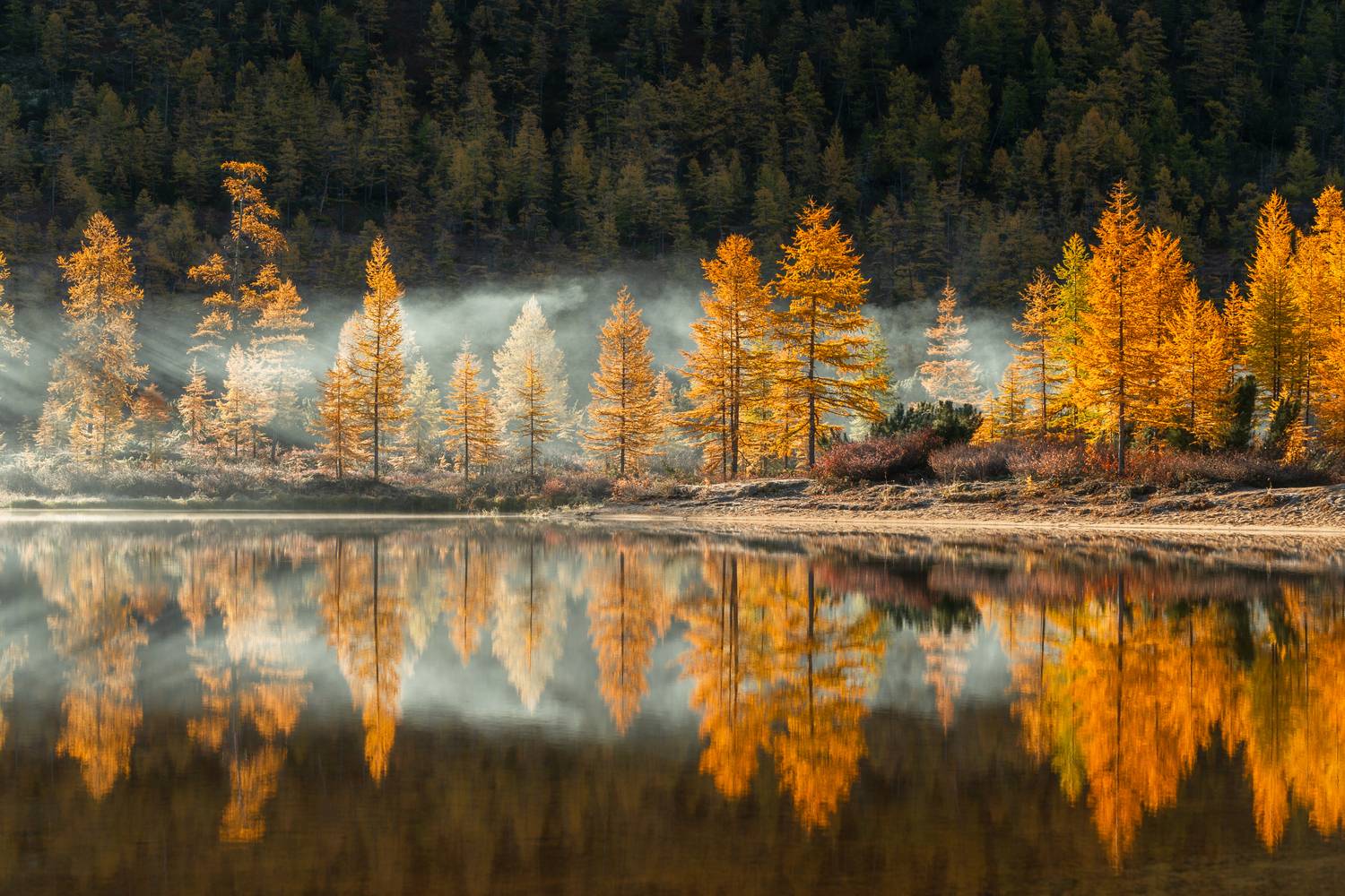 колымский рассвет