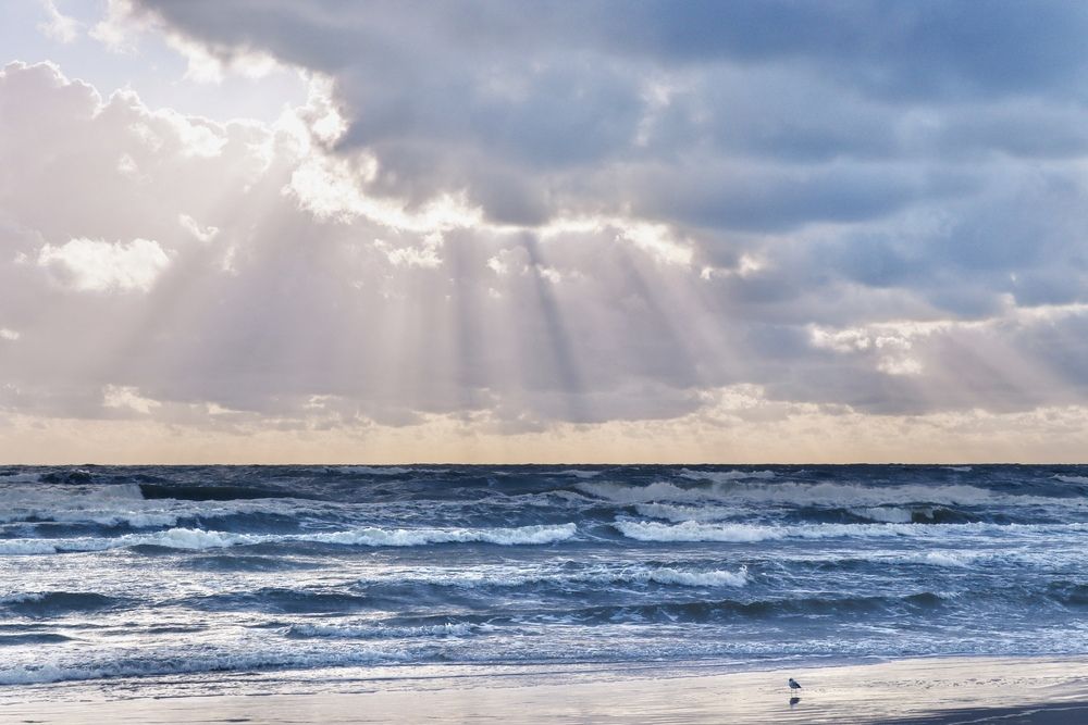 Photograph by Liga Prigoda