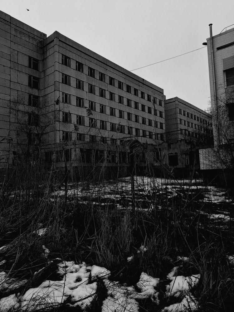 Photo #13020328