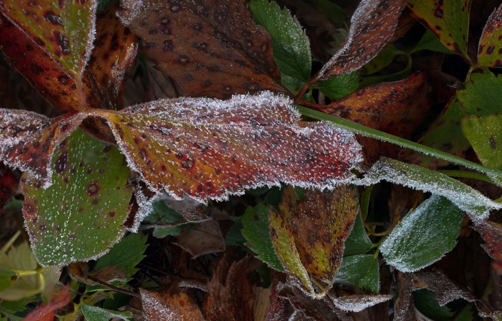 Photograph by Николай Абакумов