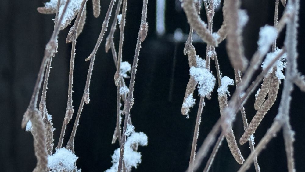 Photograph by Сергей Смирнов