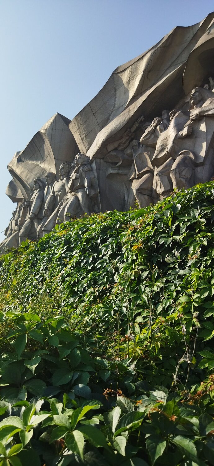 Photo #13020360