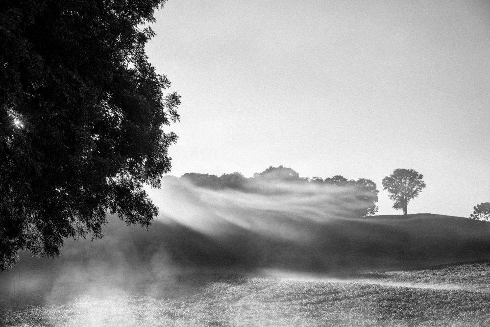 Photograph by Mateus Campos Felipe