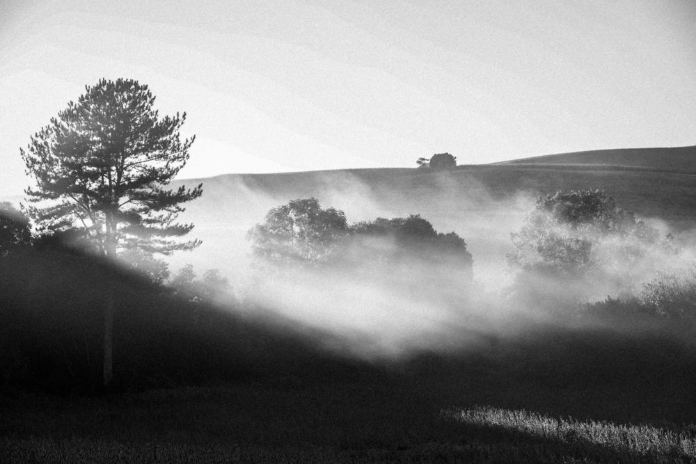 Photograph by Mateus Campos Felipe