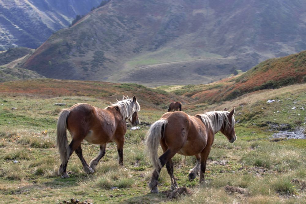 Фотография автора Uljana Kuchar