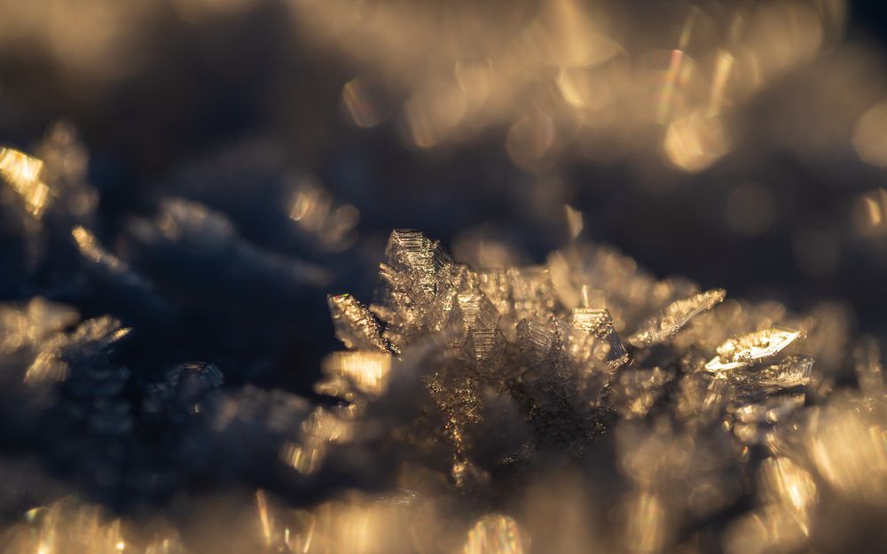 Фотография автора Mika Mgla