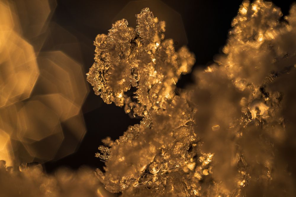 Фотография автора Mika Mgla