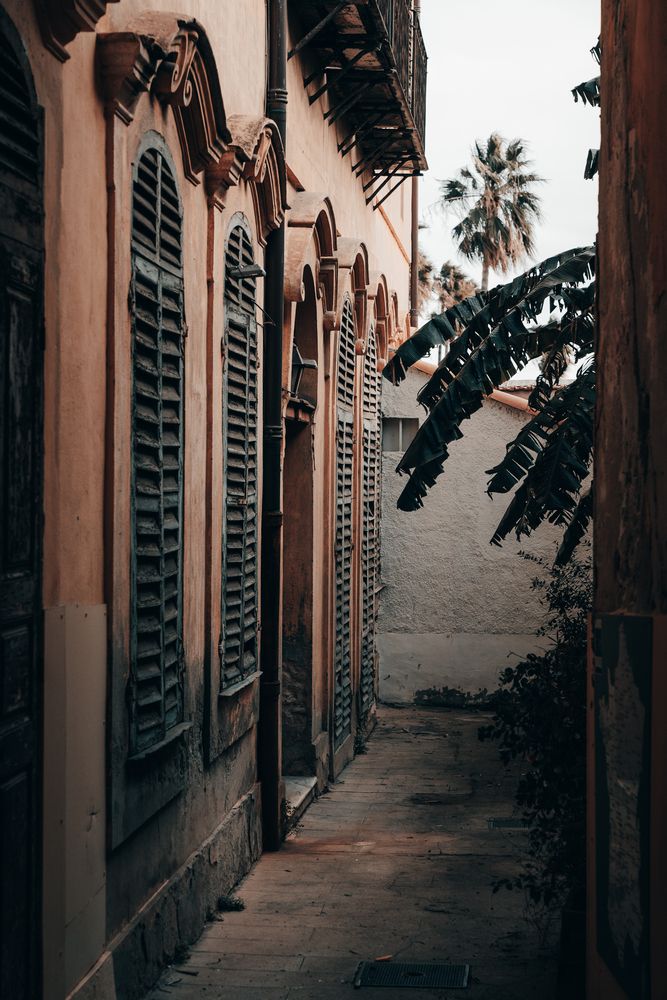 Photograph by Oleg