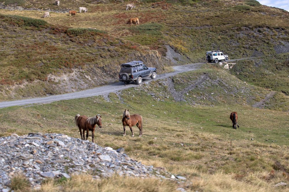 Фотография автора Uljana Kuchar