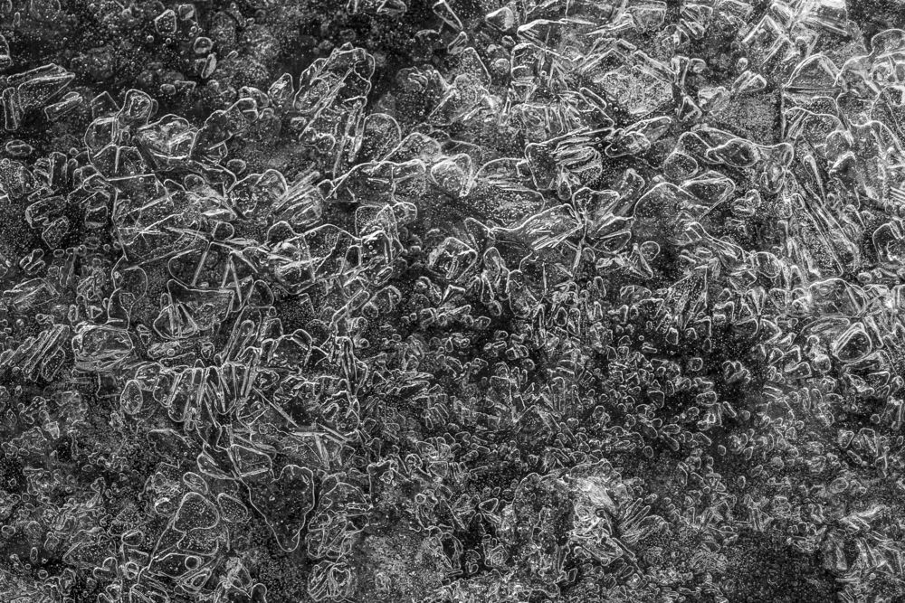 Ice water in the forest