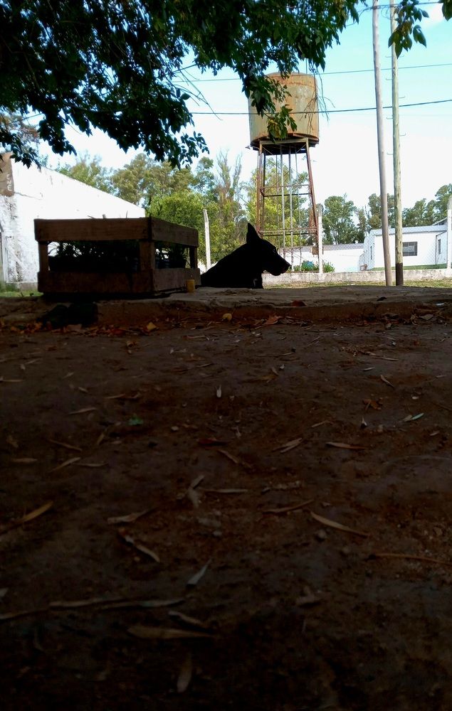 Photograph by Sara Elisabet Gómez