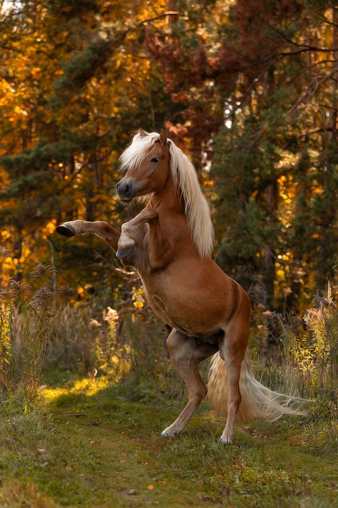 Photograph by Екатерина Сторожук