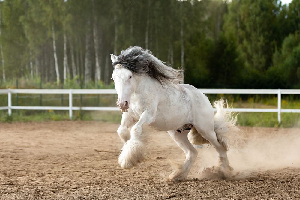 Photograph by Екатерина Сторожук