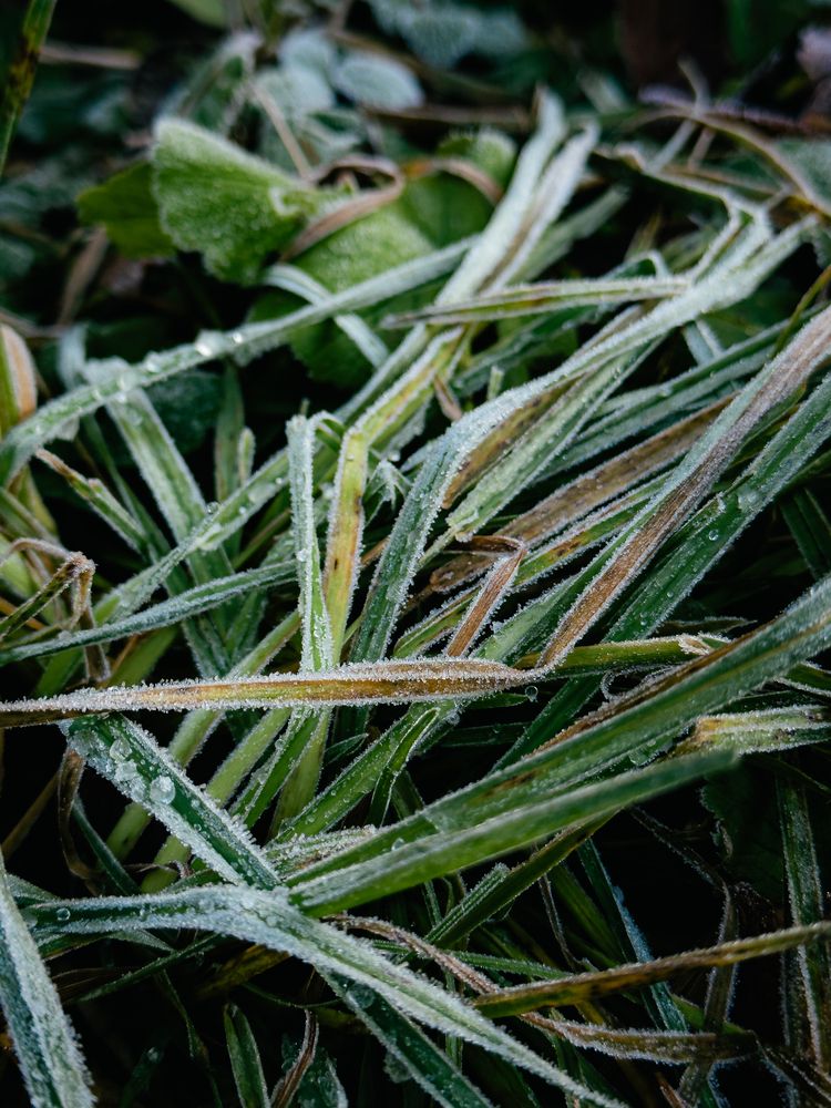 Photograph by Elizabeth Barkovskaya