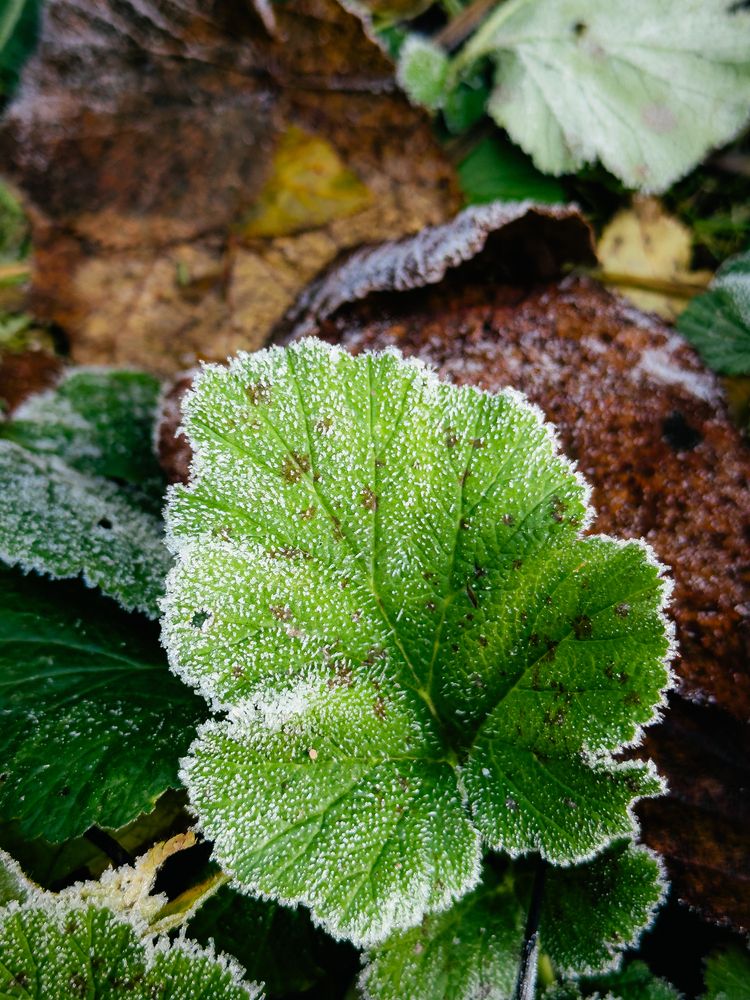 Photograph by Elizabeth Barkovskaya