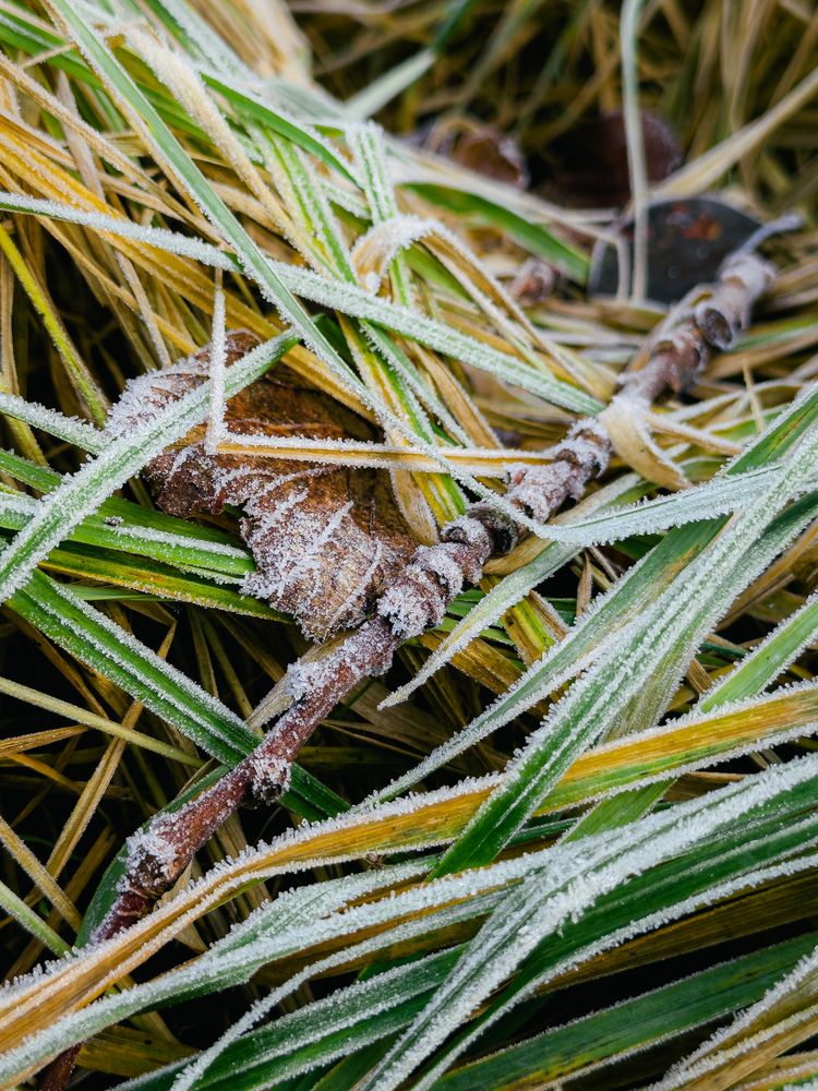 Photograph by Elizabeth Barkovskaya