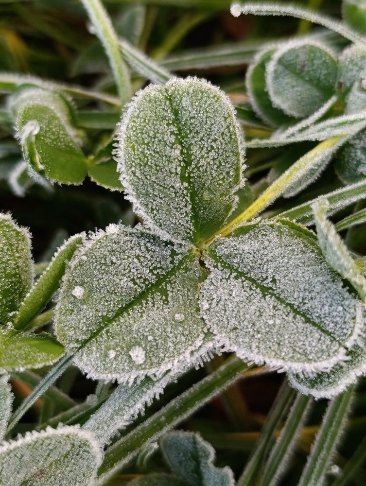 Фотография автора Юлия