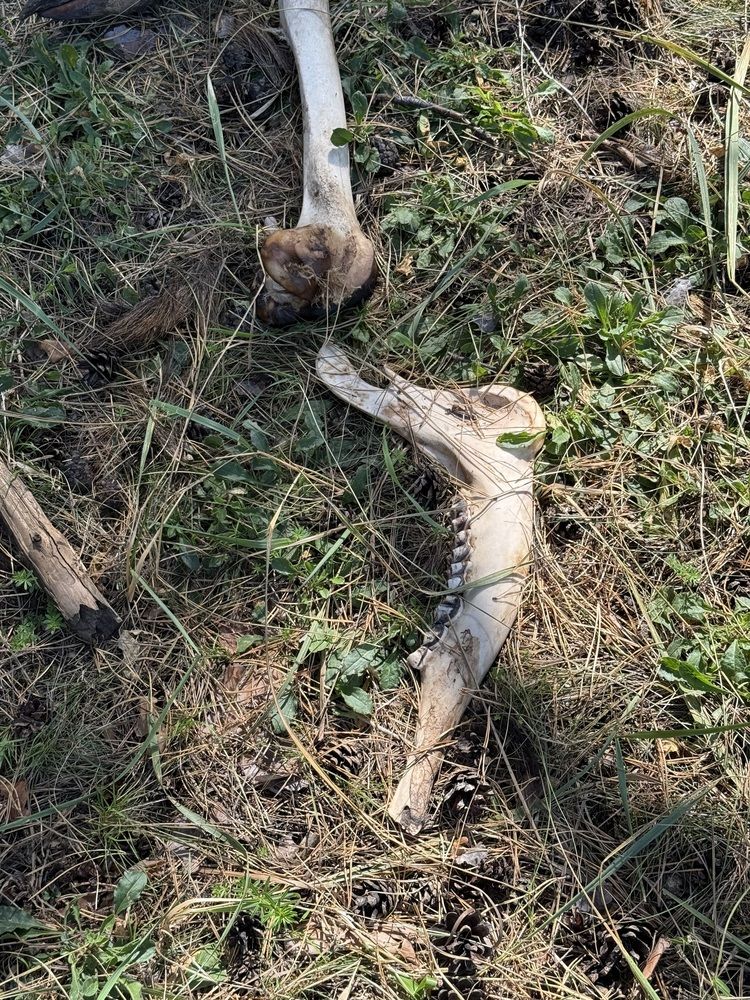 Фотография автора Татьяна