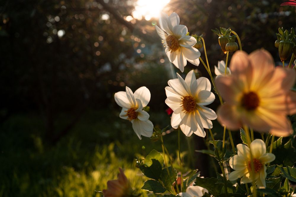 Photograph by Елена Давыдова