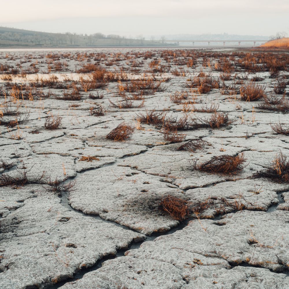 Фотография автора Сухенко Олег