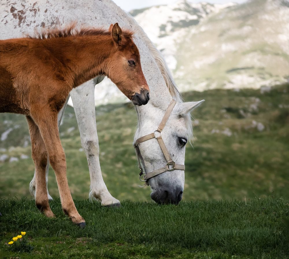 Фотография автора Анна Стрелковская