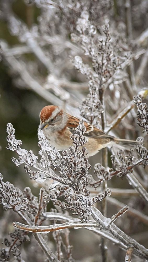 Photograph by Meilleurs Moments