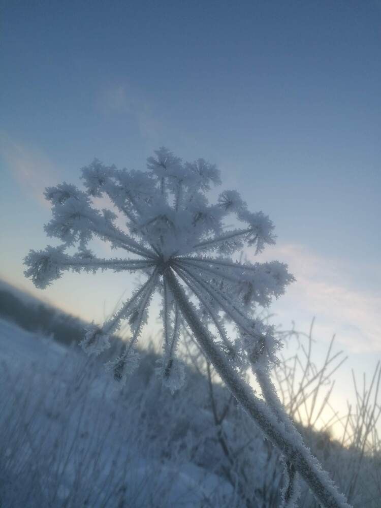 Photograph by Валентина Кузьменко