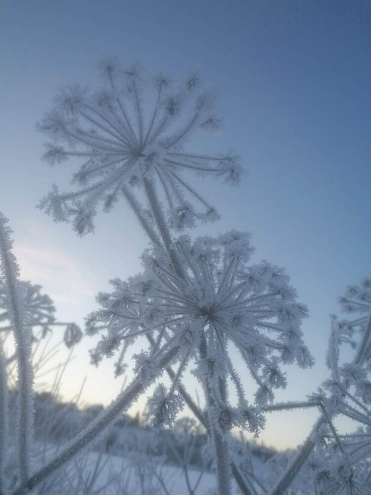 Photograph by Валентина Кузьменко
