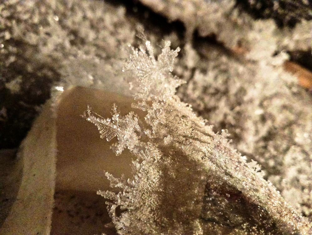 Photograph by Анна Лукина