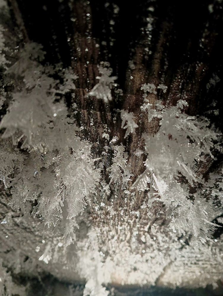 Photograph by Анна Лукина