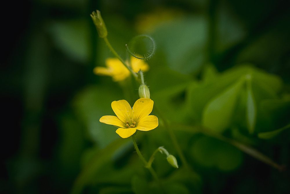 Photograph by Александр Войтко