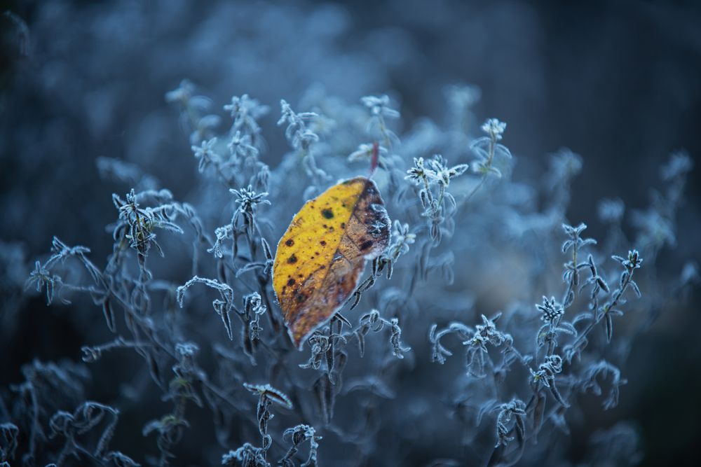 Photograph by Дмитрий Захаров