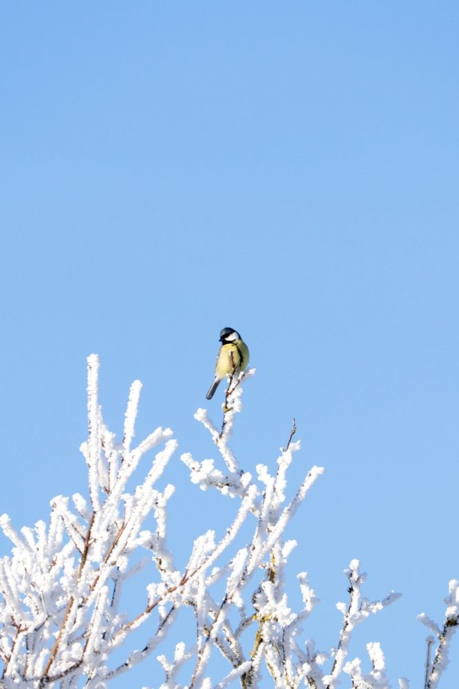 Photograph by Simone Cossu