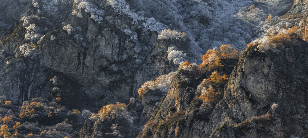 Седой Шаурдат