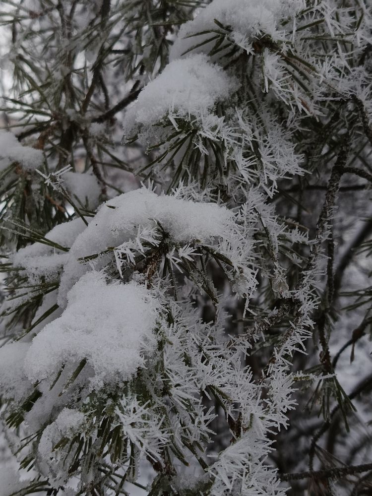 Photograph by Екатерина Зязина