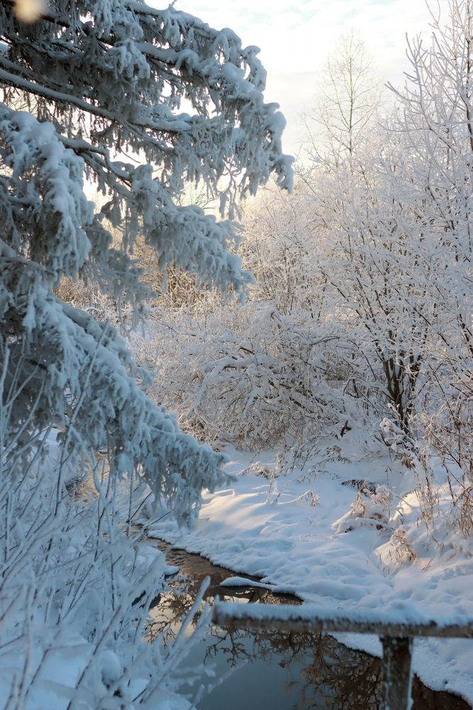 Photograph by Екатерина Зязина