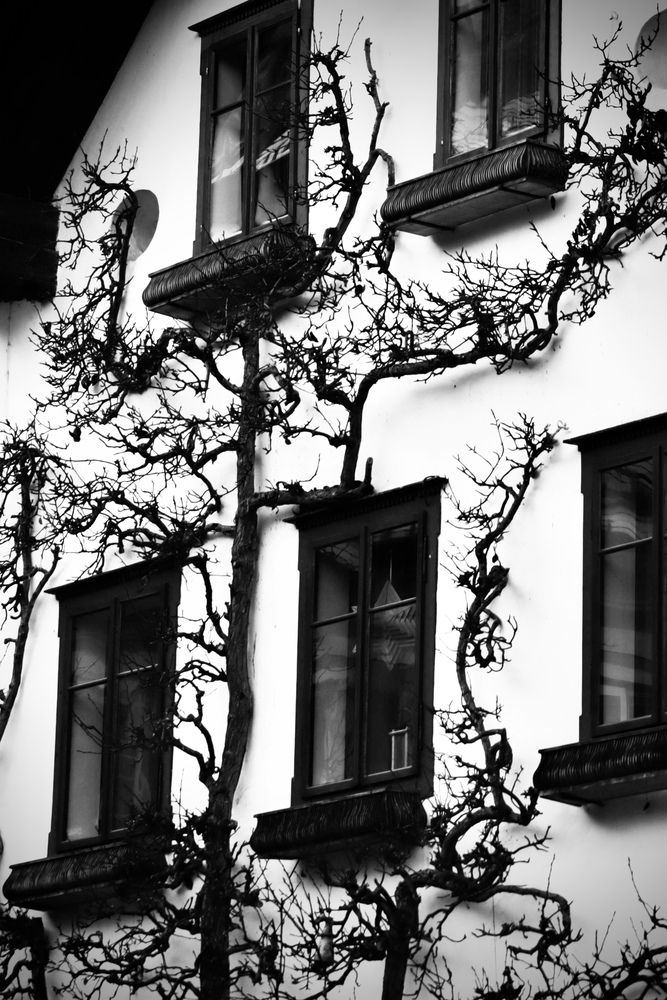 Photograph by Simone Cossu