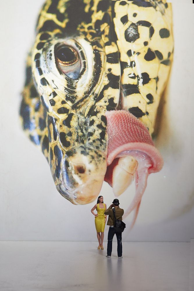 Фотография автора Владимир Борисов