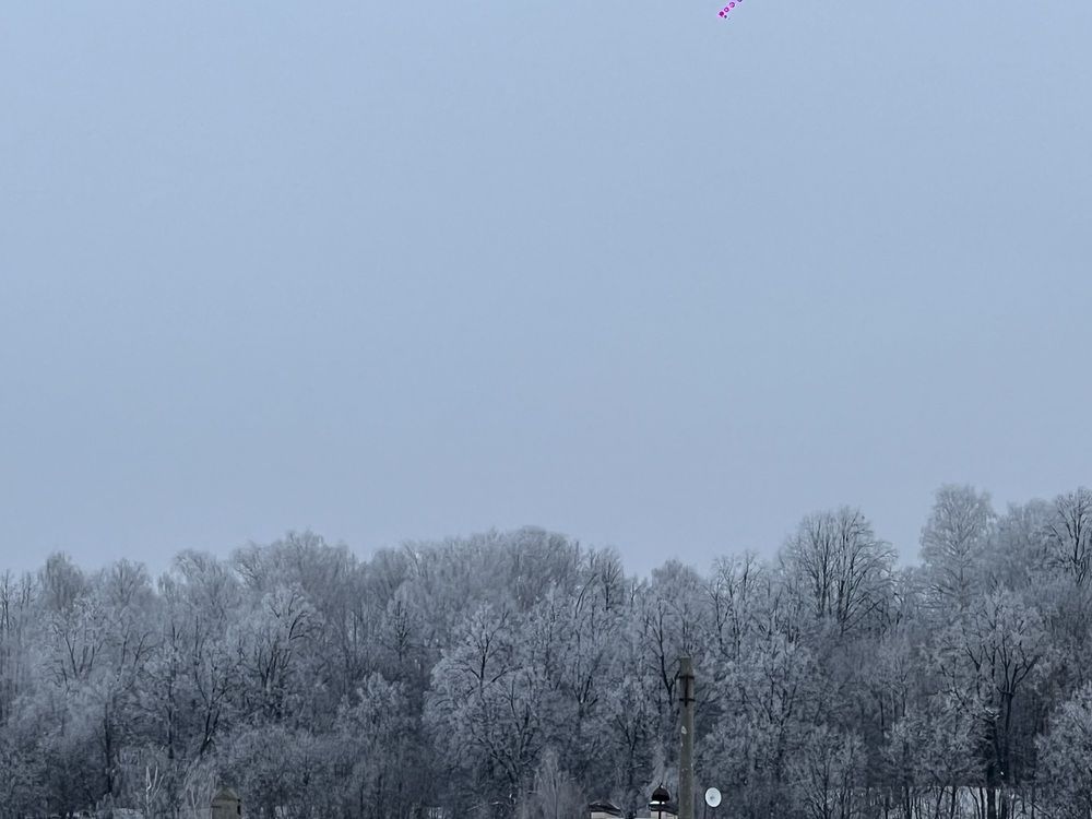 Photograph by Elvira