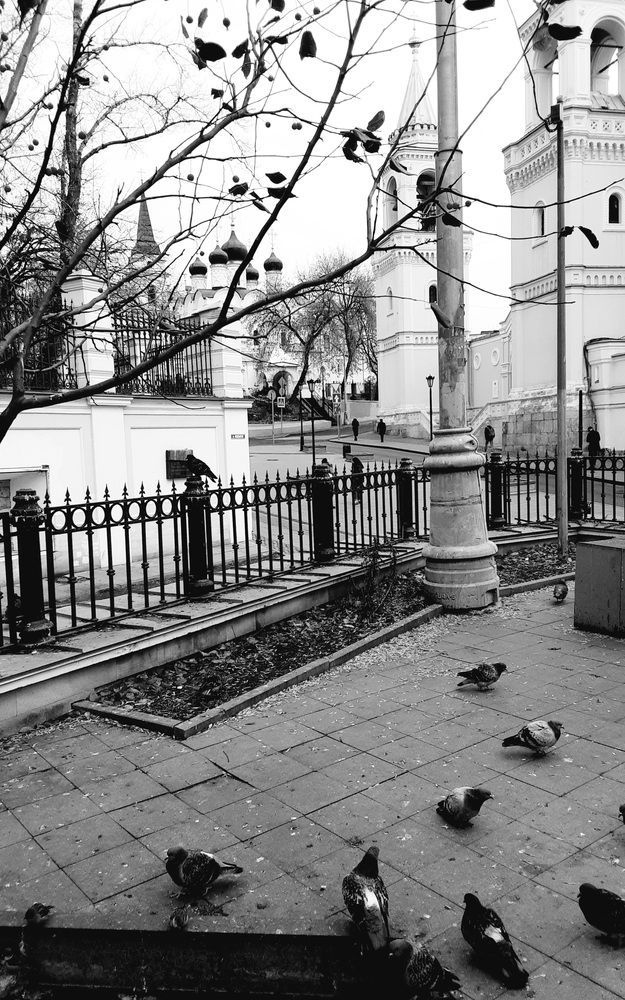Photograph by Ольга Булавкина