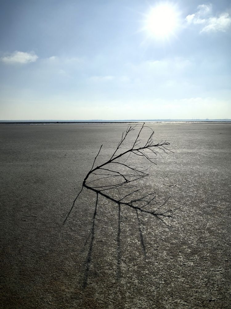 Photograph by Юлия-Массаж Зарайск