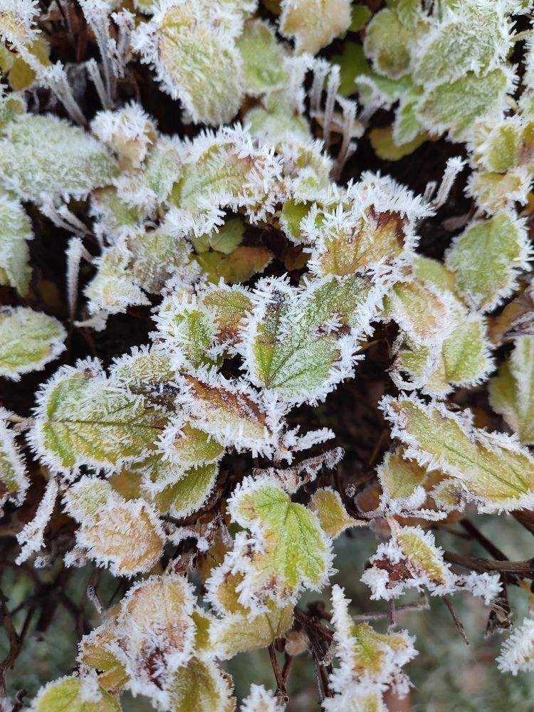 Photograph by Валентина