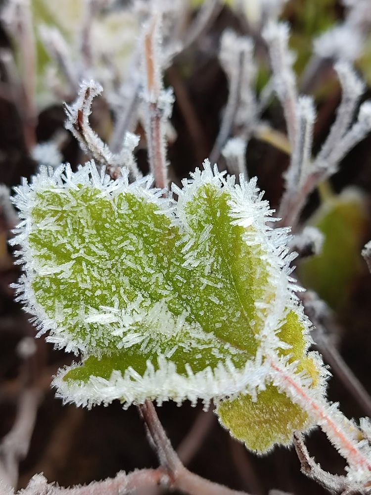 Photograph by Валентина