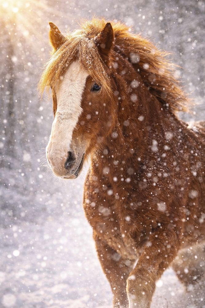 Фотография автора Мария Крюкова