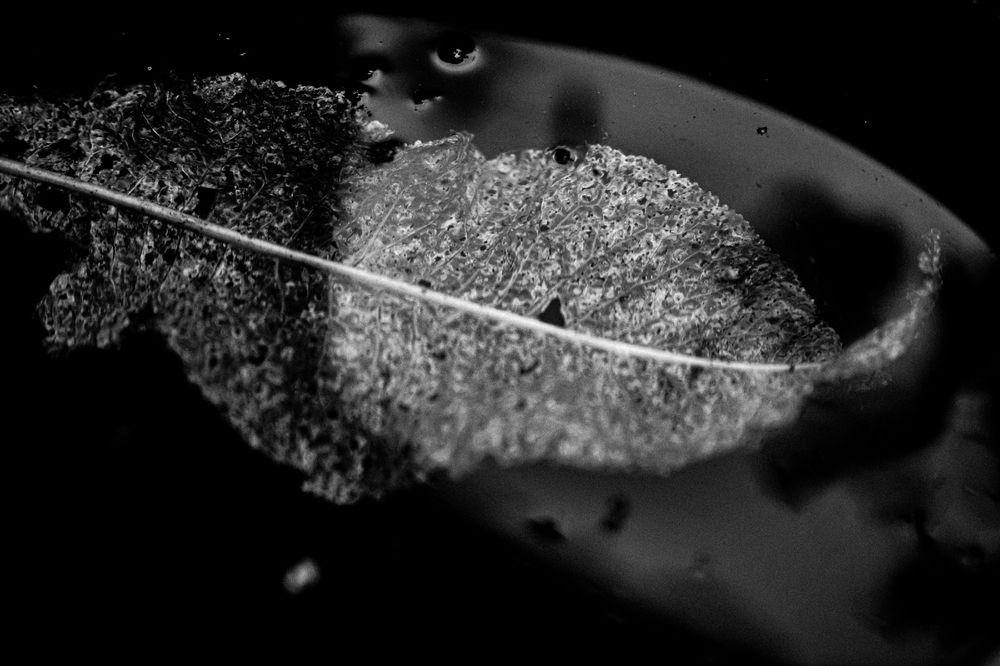 Photograph by Оксана Серёгина